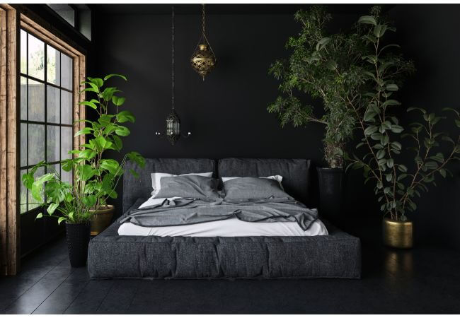 Descubra as melhores plantas para dormitório, como lavanda e jasmim, que promovem um sono reparador e purificam o ar. Transforme seu espaço em um refúgio relaxante!